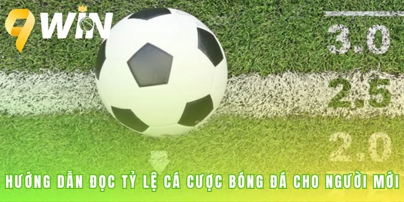Hướng dẫn đọc tỷ lệ cá cược bóng đá giải thích kèo đơn giản