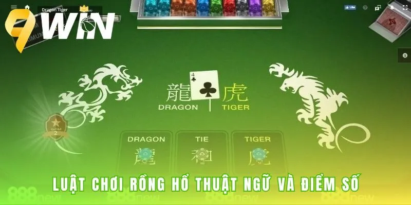 Luật chơi Rồng Hổ nền tảng từ điểm bài và các cửa cược