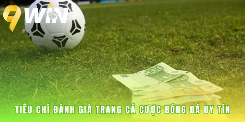 Tiêu chí đánh giá trang cá cược bóng đá qua 5 yếu tố an toàn