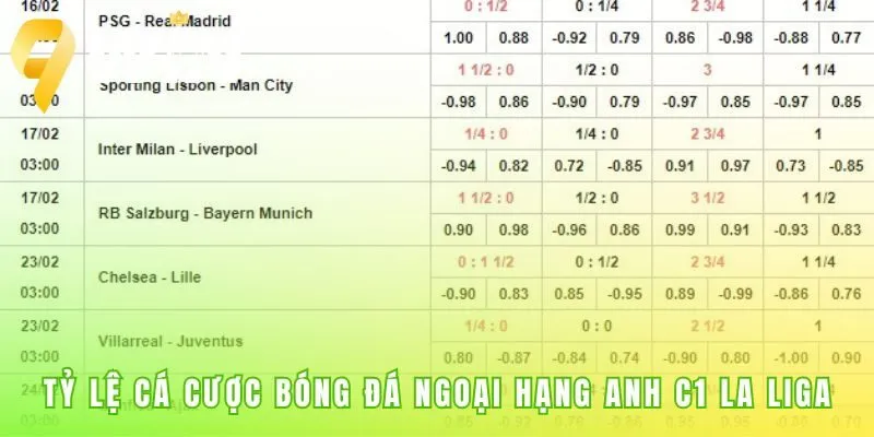 Tỷ lệ cá cược bóng đá bao gồm mọi giải đấu lớn nhỏ